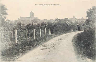 Carte postale ancienne montrant le chemin bordé de vignes et le village de Brion