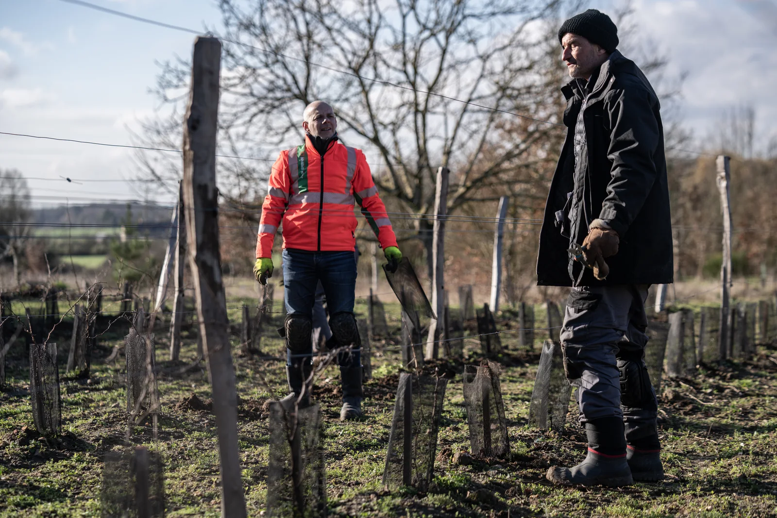 Deux membres de l’équipe échangent entre les rangs de vigne en hiver