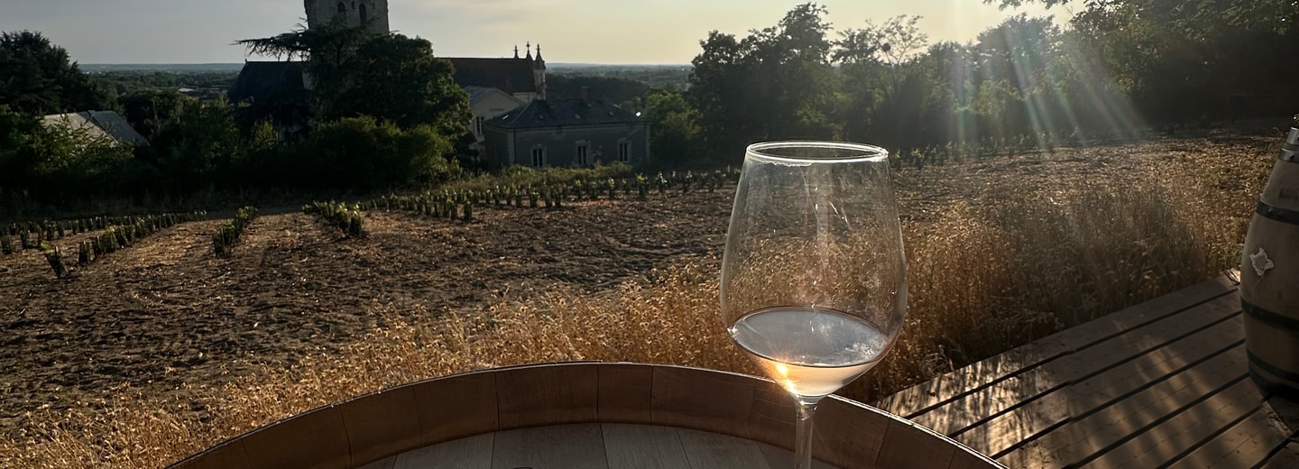 Coucher de soleil sur les vignes et le clocher de Brion