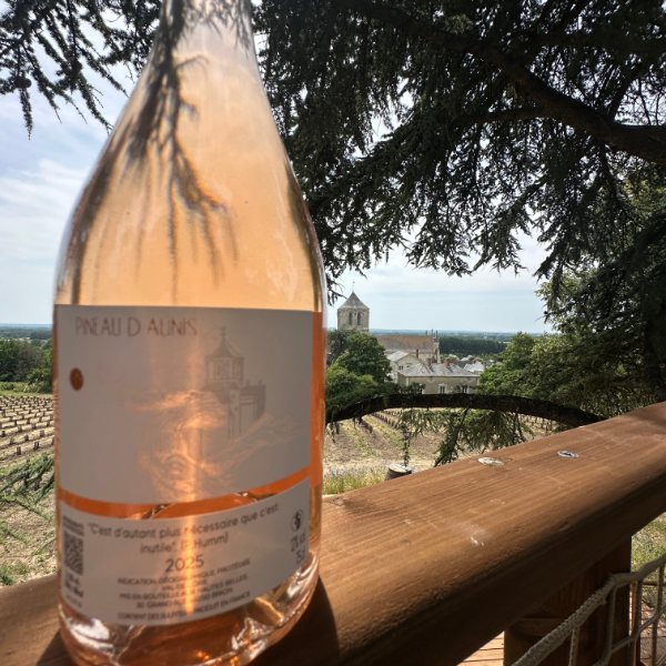 Bouteille de rosé sur la terrasse, vignes en contrebas