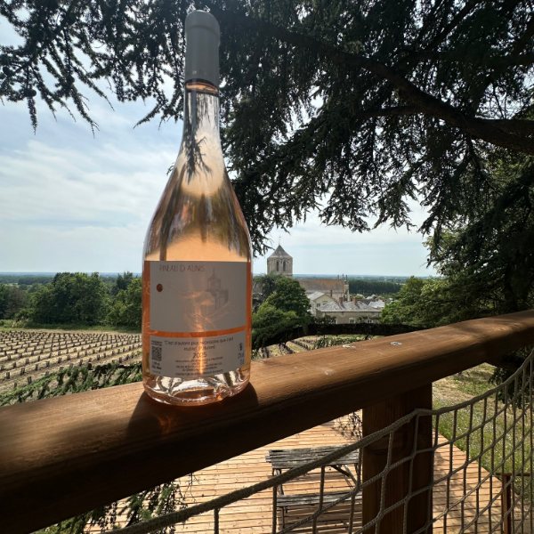 Bouteille de rosé face aux vignes et au village
