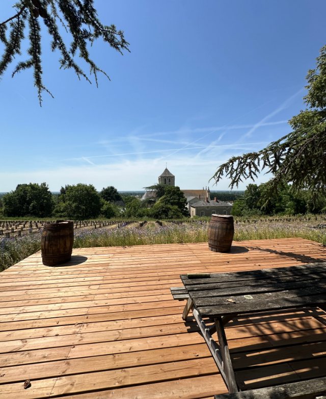 Terrasse devant les vignes et le clocher de Brion