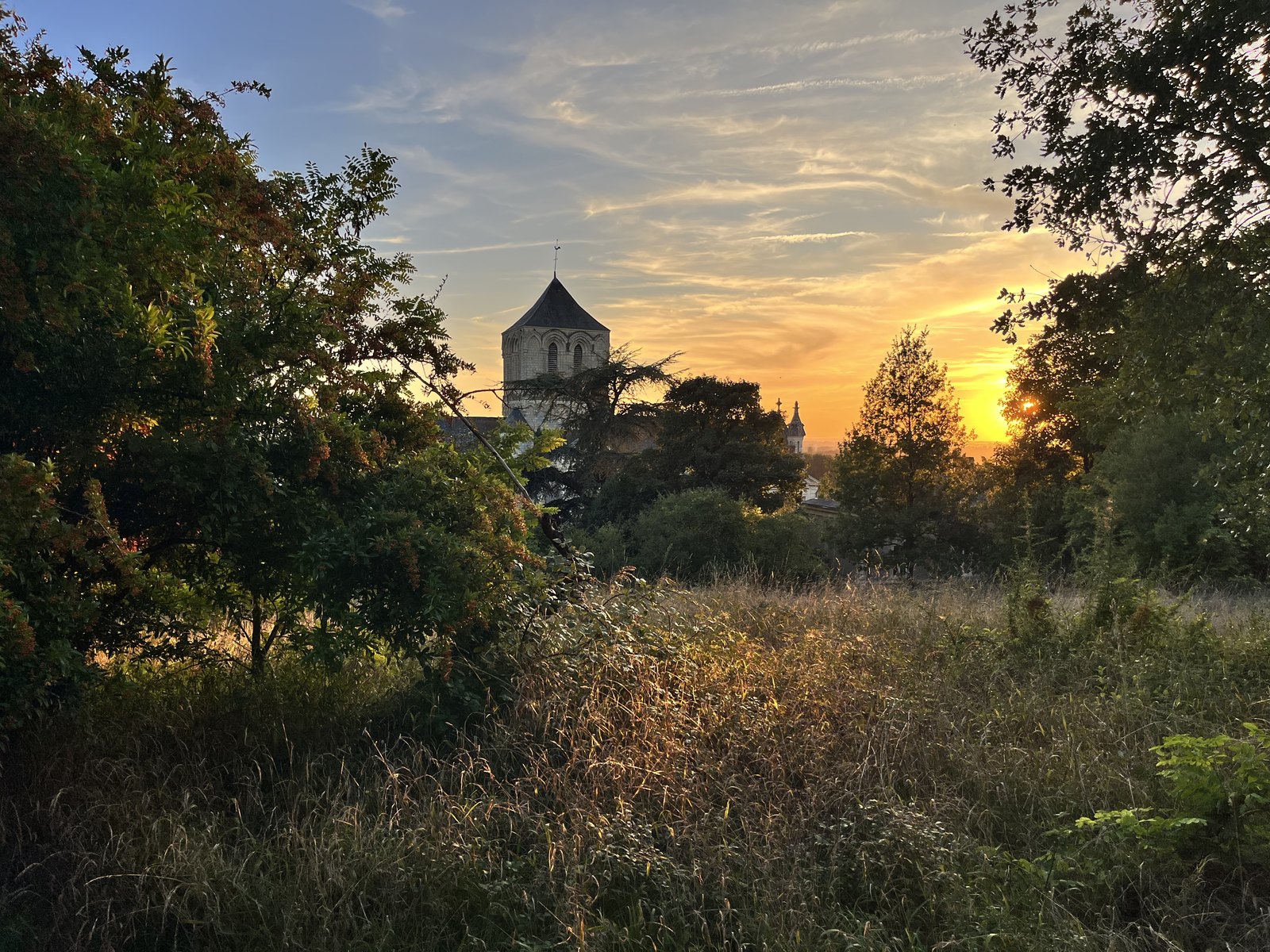 Le clocher de Brion entouré d’arbres et d’herbes au coucher du soleil